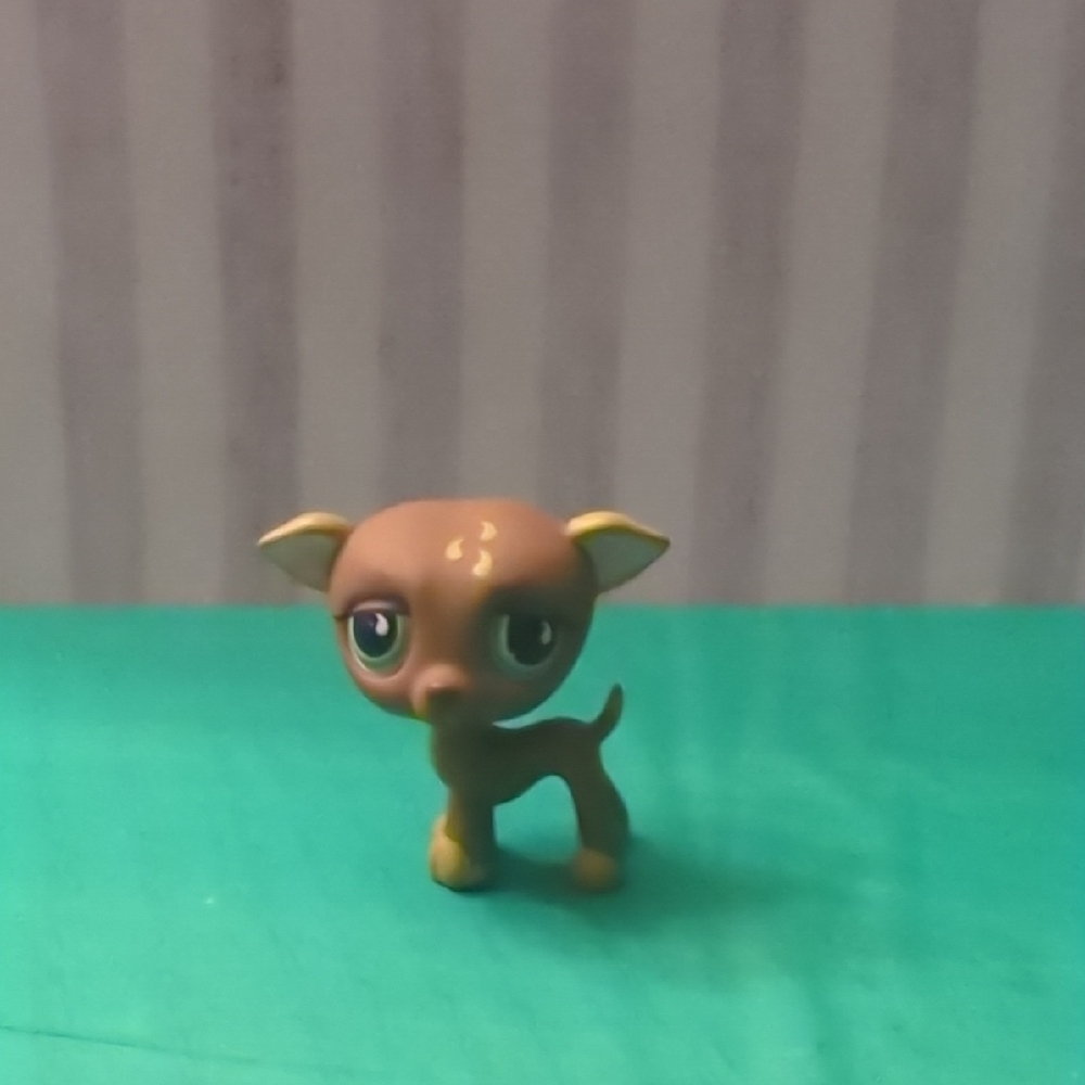 LPS #507